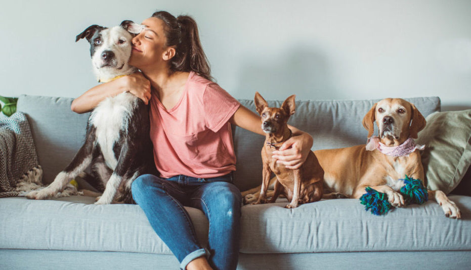 Qi-Gong-with-Pets-1024x536